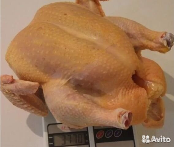 Мясо домашних кур бройлеров с доставкой