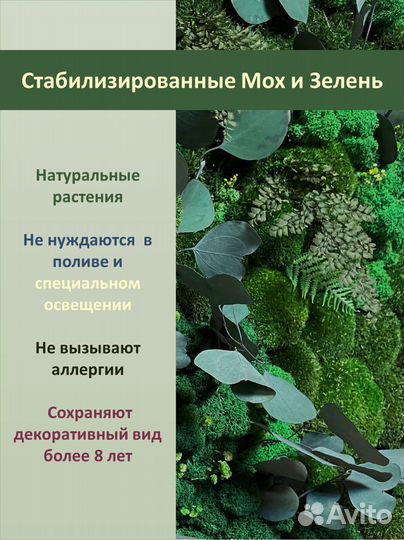 Панно из стабилизированного мха GardenGo