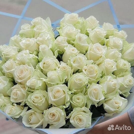 Высокие Розы с Доставкой