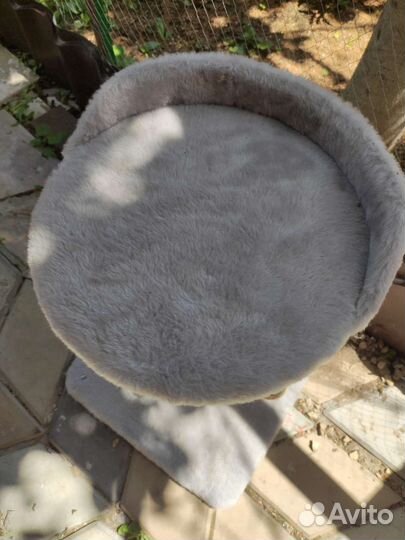 Когтеточка для кошек бу