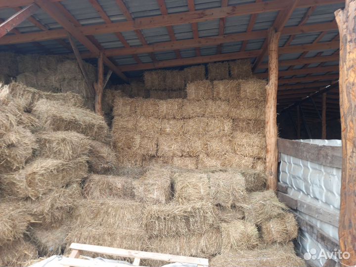 Сено и солома