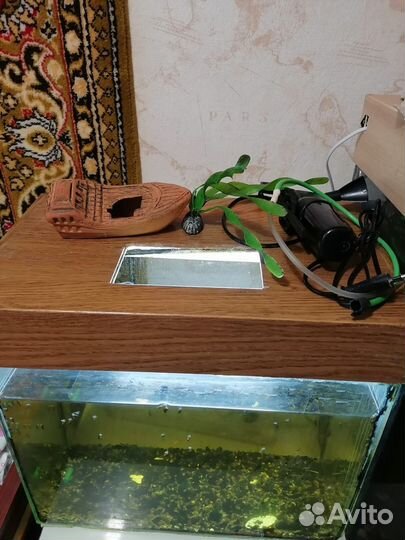 Аквариум на 60 литров