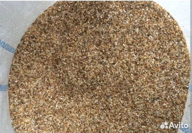 Ракушка Каспийская мелкая для птицы