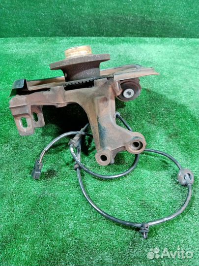 Цапфа задняя правая Audi A4 8E B7 ALT (2.0) 2007