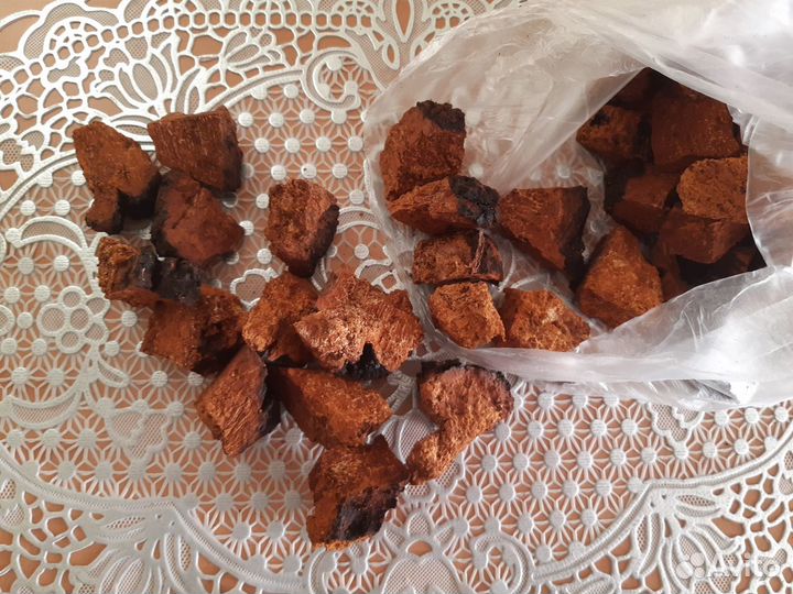 Березовый гриб чага