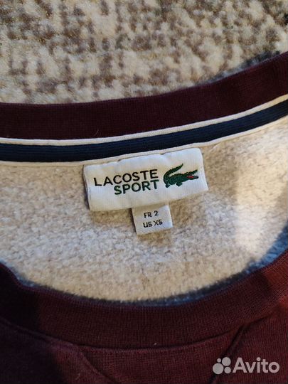 Свитшот Lacoste