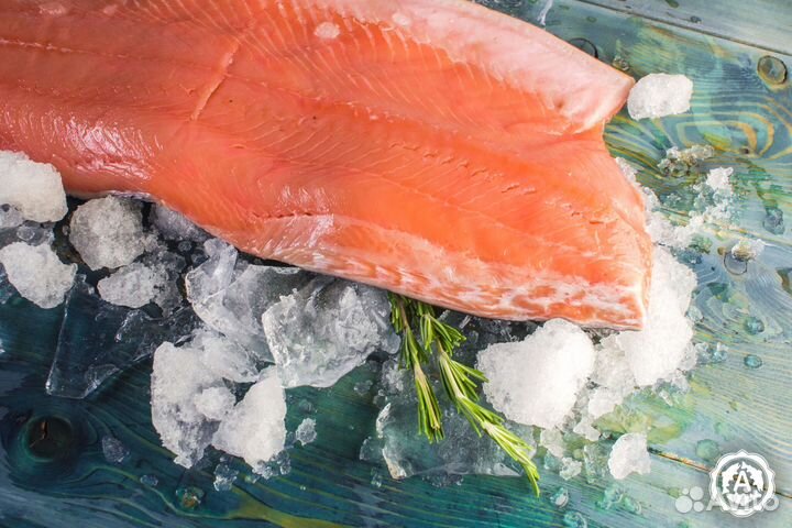 Семга охлажденная