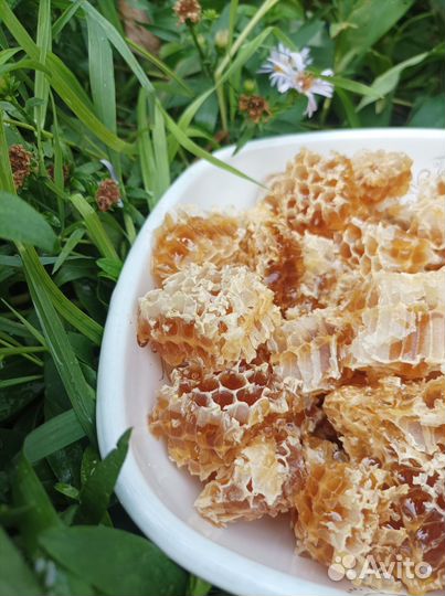 Башкирский мед оптом. Урожай 2022