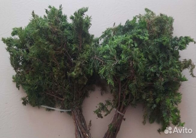 Веники можжевеловые