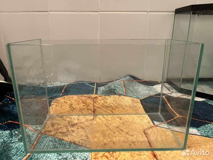 Аквариумные