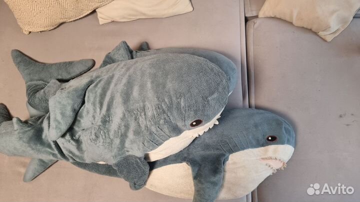 Акула из икеи