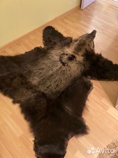 Медвежья шкура (Имитация )