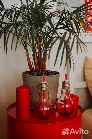 Стаканы в виде лампочек