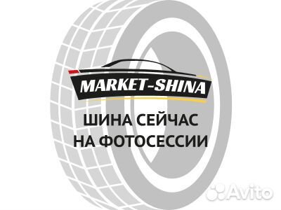 Fronway IcePower 868 255/50 R19 107H