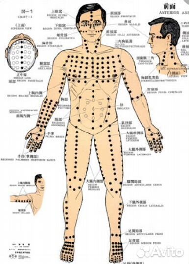 Японский Массаж шиацу