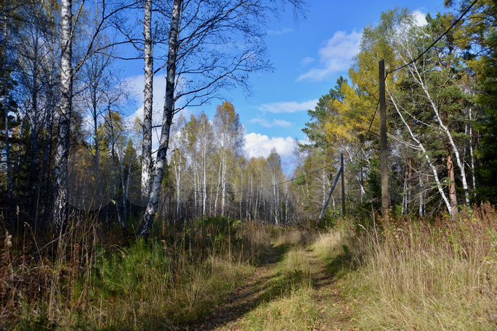 Участок 10,1 сот. (СНТ, ДНП)