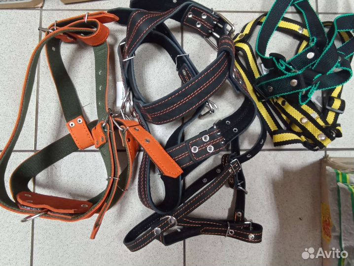 Ошейники для собак