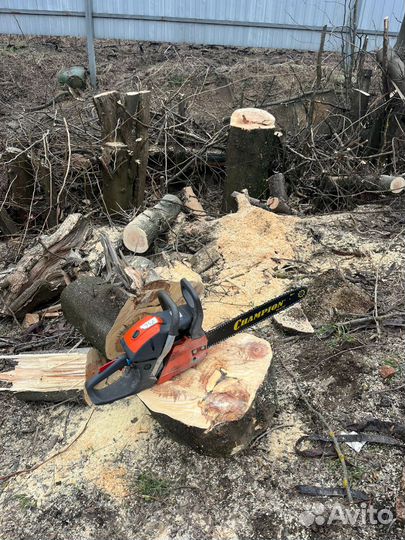 Спил деревьев.Расчистка участка.Копка котлована