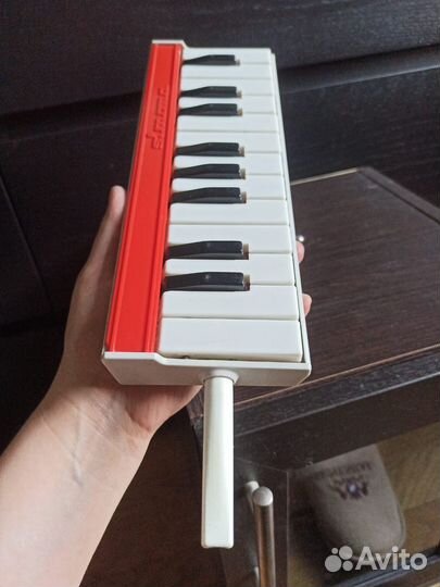 Клавишно-духовой муз инструмент Expovita Simona