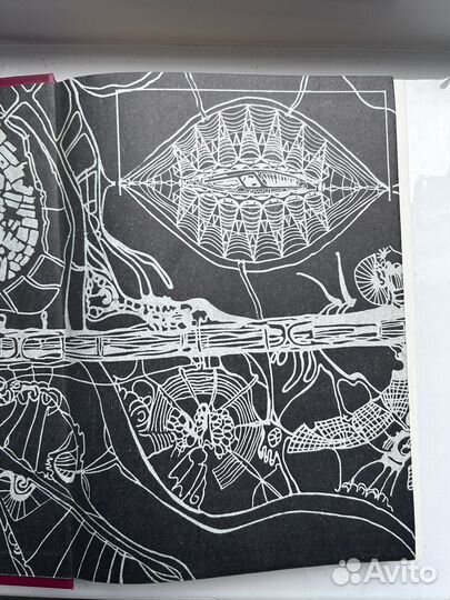 Мир архитектуры А. Гутнов