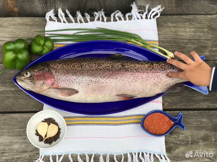 Форель радужная