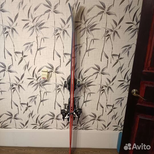 Горные лыжи фрирайд универсалы