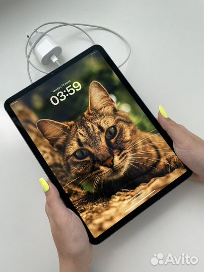 iPad Pro 11 M1 256gb Wi-Fi+ Cellular