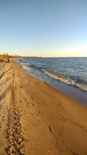 Участок 50 сот. (ИЖС)