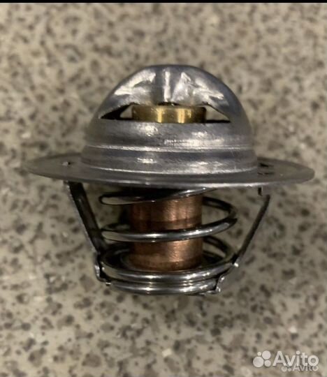 Фильтр бензонасоса и термостат Renault