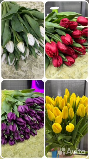 Тюльпаны к 8 марта