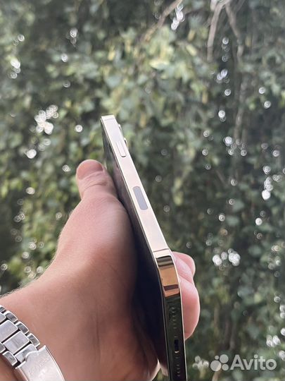 iPhone 12 Pro Max Gold