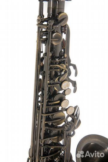 Саксофон альт Roy Benson AS-202A