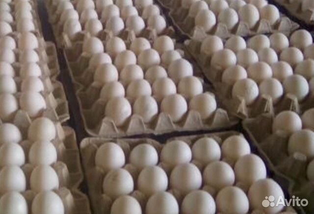 Яйцо утиное инкубационное