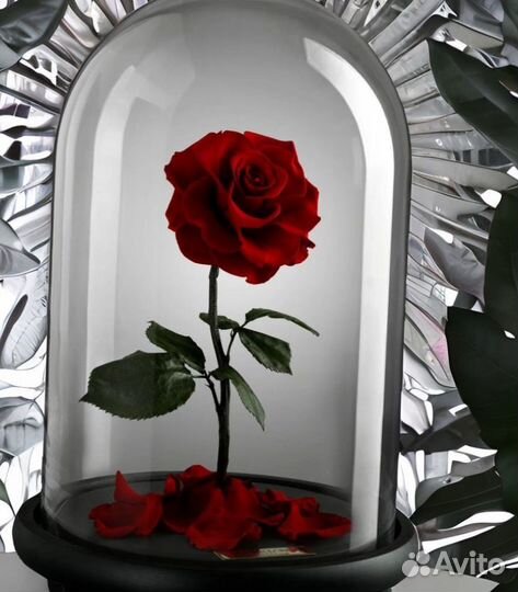 Стабилизированная Роза в колбе на Детский