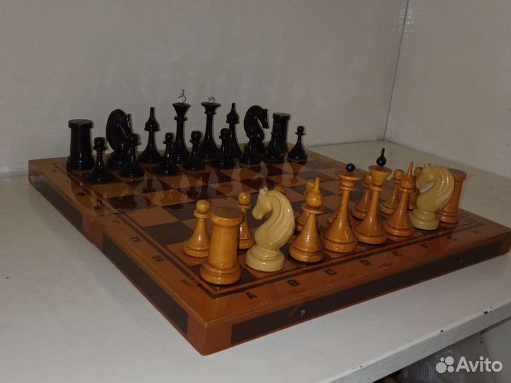 Шахматы Мордовской асср