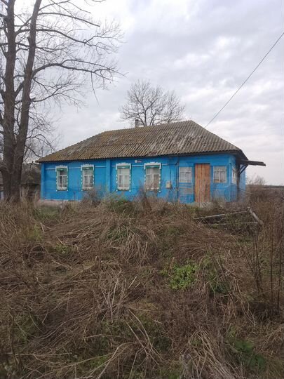 Дом 45,3 м² на участке 50 сот.