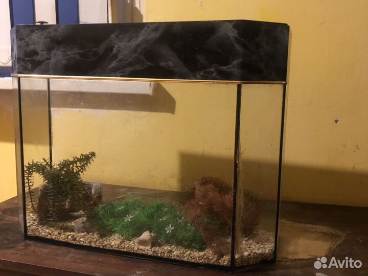 Аквариум
