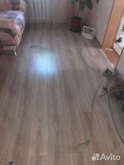 Защитная сетка от птиц