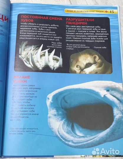 Детская энциклопедия росмэн