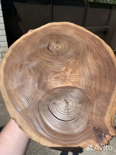 Спилы торцевые карагач орех дуб