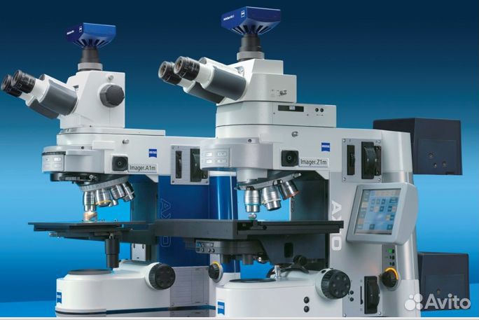 Бинокулярный микроскоп