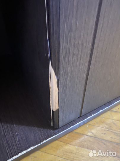 Террариум с черепахами