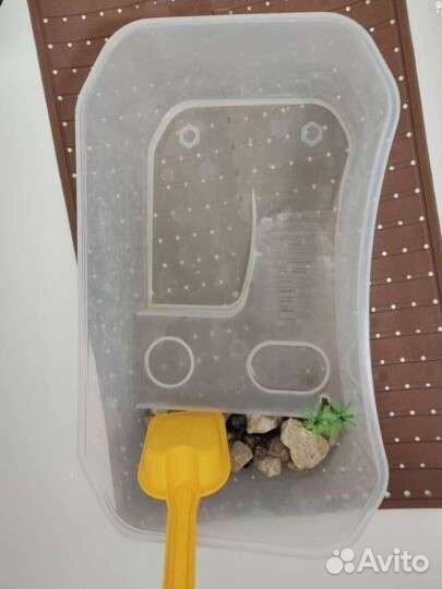 Террариум для черепахи