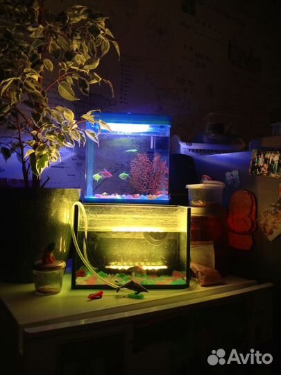 Аквариум
