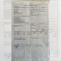 Yamaha VX, 2024, Брест