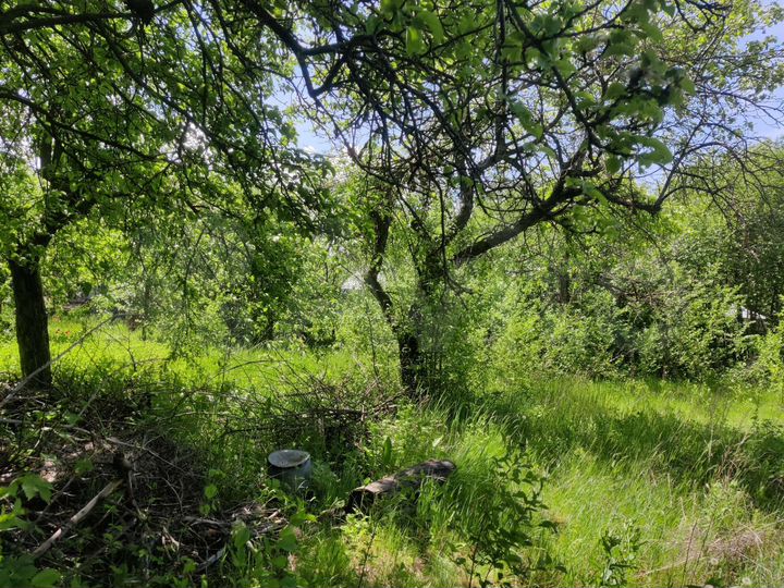 Дача 17 м² на участке 6 сот.