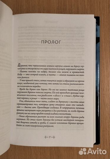 Фуюми Оно. Усопшие. Shiki. Книга 1