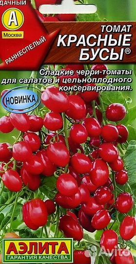 Рассада болгарского перца,томатов и томатов черри