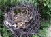Гнёзда гнездо пасхальный декор