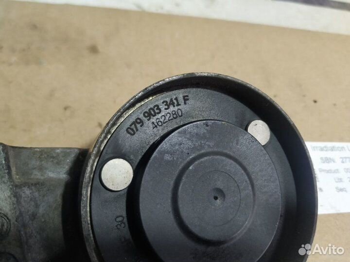 Натяжитель ремня генератора Audi A8 D3 BVJ